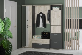 Шкаф для одежды НМ 013.40 "Санти" (Антрацит/Крафт Серый) в Казани - kazan.mebel24.online | фото 3