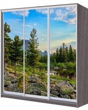Шкаф-купе ХИТ 22-20/2-777 ПРИРОДА в Казани - kazan.mebel24.online | фото
