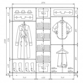 Шкаф-купе ХИТ 22-4-20-111 (420) в Казани - kazan.mebel24.online | фото 2