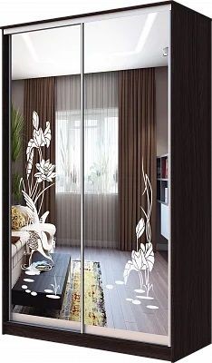Шкаф-купе ХИТ 23-4-12-66 ЦАПЛИ в Казани - kazan.mebel24.online | фото