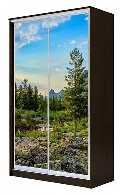 Шкаф-купе ХИТ 23-4-15-77 ПРИРОДА в Казани - kazan.mebel24.online | фото