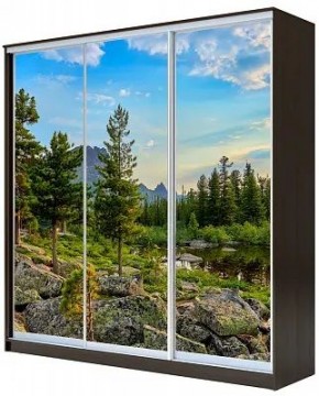 Шкаф-купе ХИТ 23-4-20-777 ПРИРОДА в Казани - kazan.mebel24.online | фото