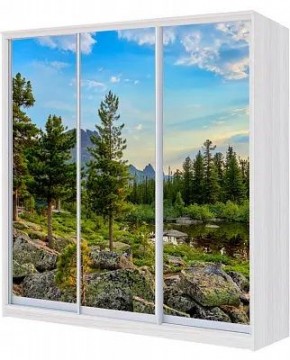 Шкаф-купе ХИТ 24-18/2-777 ПРИРОДА в Казани - kazan.mebel24.online | фото
