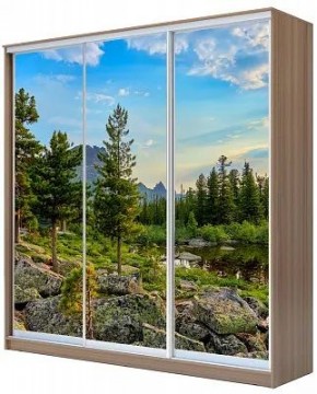 Шкаф-купе ХИТ 24-18-777 ПРИРОДА в Казани - kazan.mebel24.online | фото