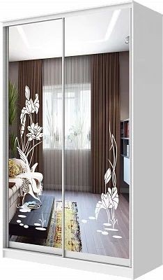 Шкаф-купе ХИТ 24-4-14-66 ЦАПЛИ в Казани - kazan.mebel24.online | фото