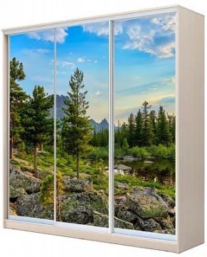 Шкаф-купе ХИТ 24-4-20-777 ПРИРОДА в Казани - kazan.mebel24.online | фото