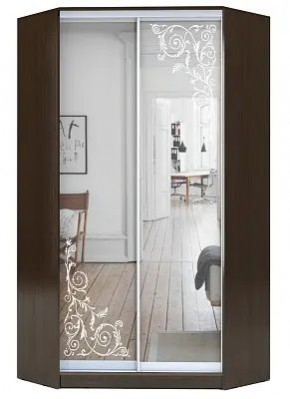 Шкаф-купе ХИТ-У-23-4-66 ОРНАМЕНТ в Казани - kazan.mebel24.online | фото