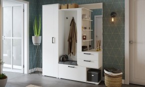 Шкаф платяной Эрика в Казани - kazan.mebel24.online | фото 3