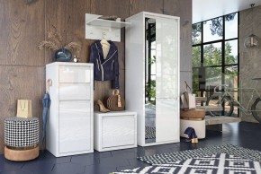 Шкаф платяной Норден СТЛ.413.01 в Казани - kazan.mebel24.online | фото 4