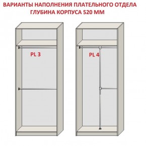 Шкаф распашной серия «ЗЕВС» (PL3/С1/PL2) в Казани - kazan.mebel24.online | фото 10