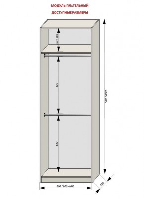 Шкаф распашной серия «ЗЕВС» (PL3/С1/PL2) в Казани - kazan.mebel24.online | фото 12