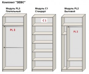 Шкаф распашной серия «ЗЕВС» (PL3/С1/PL2) в Казани - kazan.mebel24.online | фото 2