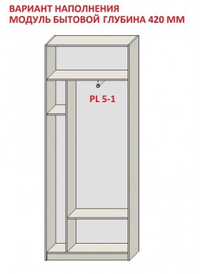 Шкаф распашной серия «ЗЕВС» (PL3/С1/PL2) в Казани - kazan.mebel24.online | фото 4