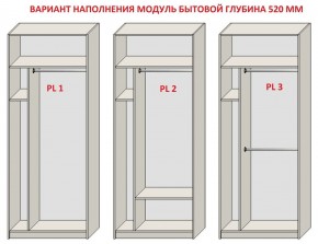 Шкаф распашной серия «ЗЕВС» (PL3/С1/PL2) в Казани - kazan.mebel24.online | фото 5