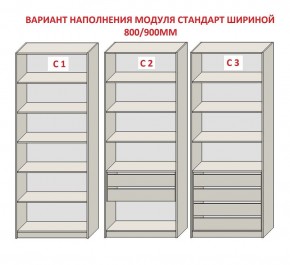 Шкаф распашной серия «ЗЕВС» (PL3/С1/PL2) в Казани - kazan.mebel24.online | фото 6