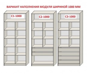 Шкаф распашной серия «ЗЕВС» (PL3/С1/PL2) в Казани - kazan.mebel24.online | фото 7