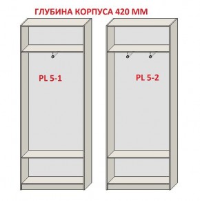 Шкаф распашной серия «ЗЕВС» (PL3/С1/PL2) в Казани - kazan.mebel24.online | фото 8