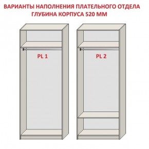 Шкаф распашной серия «ЗЕВС» (PL3/С1/PL2) в Казани - kazan.mebel24.online | фото 9