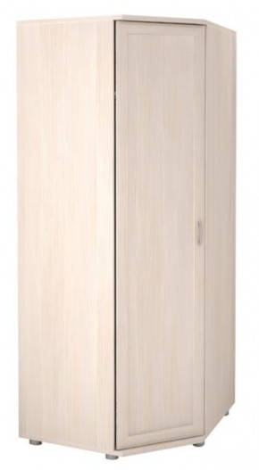 Шкаф угловой для одежды Ника-Люкс 30 без зеркал в Казани - kazan.mebel24.online | фото 2