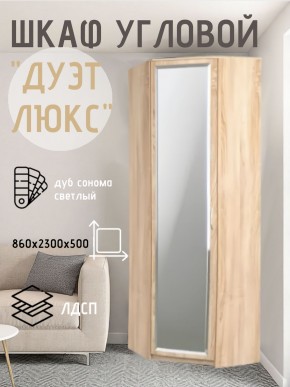 Шкаф угловой Дуэт Люкс с зеркалом в Казани - kazan.mebel24.online | фото 1