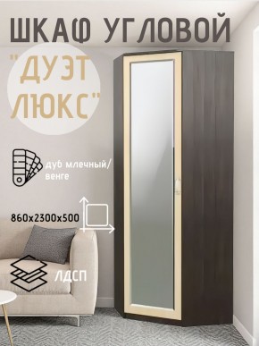 Шкаф угловой Дуэт Люкс с зеркалом в Казани - kazan.mebel24.online | фото 5