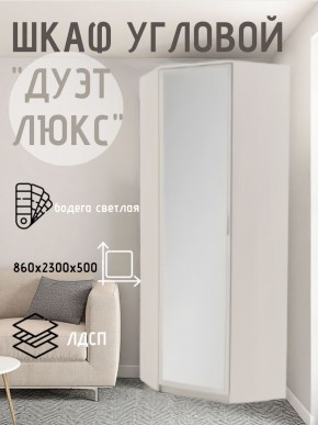 Шкаф угловой Дуэт Люкс с зеркалом в Казани - kazan.mebel24.online | фото 6