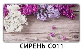 Стол раздвижной Трилогия с фотопечатью Доска D110 в Казани - kazan.mebel24.online | фото 16