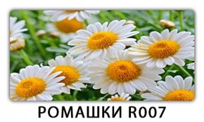 Стол раздвижной Трилогия с фотопечатью Орхидея C012 в Казани - kazan.mebel24.online | фото 15