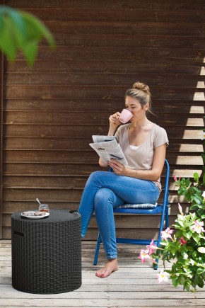 Столик-холодильник Кул-Стул (Cool stool) коричневый в Казани - kazan.mebel24.online | фото 2
