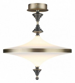 Светильник на штанге Odeon Light Ula 5404/43CL в Казани - kazan.mebel24.online | фото 2