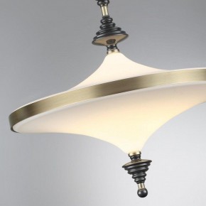 Светильник на штанге Odeon Light Ula 5404/43CL в Казани - kazan.mebel24.online | фото 6