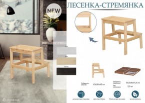 Табурет Стремянка в Казани - kazan.mebel24.online | фото 3