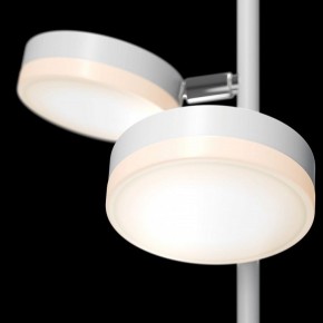 Торшер Maytoni Fad MOD070FL-L12W3K в Казани - kazan.mebel24.online | фото 5
