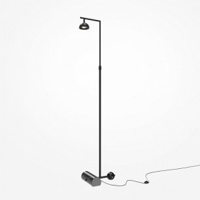 Торшер Maytoni Pikant MOD372FL-L10B3K в Казани - kazan.mebel24.online | фото 2