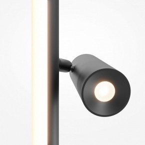 Торшер Maytoni Thin MOD395FL-L28B3K в Казани - kazan.mebel24.online | фото 6