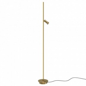 Торшер Maytoni Thin MOD395FL-L28BS3K в Казани - kazan.mebel24.online | фото