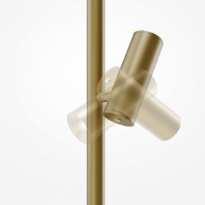 Торшер Maytoni Thin MOD395FL-L28BS3K в Казани - kazan.mebel24.online | фото 6
