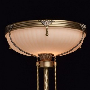 Торшер MW-Light Афродита 1 317040901 в Казани - kazan.mebel24.online | фото 4