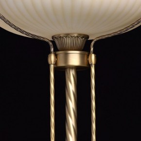 Торшер MW-Light Афродита 1 317040901 в Казани - kazan.mebel24.online | фото 6