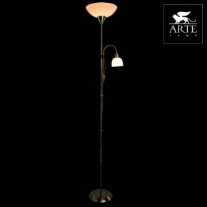 Торшер с подсветкой Arte Lamp Duetto A9569PN-2AB в Казани - kazan.mebel24.online | фото 3