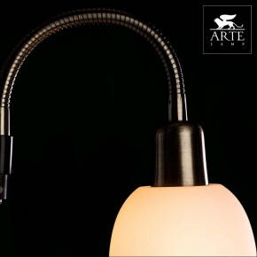 Торшер с подсветкой Arte Lamp Duetto A9569PN-2AB в Казани - kazan.mebel24.online | фото 4
