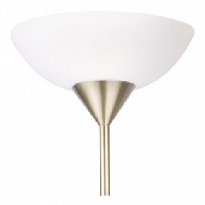 Торшер с подсветкой Arte Lamp Duetto A9569PN-2AB в Казани - kazan.mebel24.online | фото 5