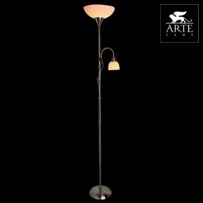 Торшер с подсветкой Arte Lamp Duetto A9569PN-2SS в Казани - kazan.mebel24.online | фото 3