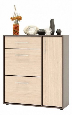 Тумба для обуви ТП-4 в Казани - kazan.mebel24.online | фото