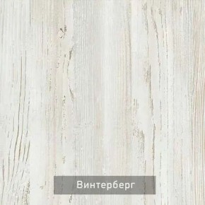 ВИНТЕР - 6.16.1 Шкаф-купе 1600 без зеркала в Казани - kazan.mebel24.online | фото 5